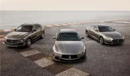 最新玛莎爆料新闻,揭秘娱乐圈惊人内幕